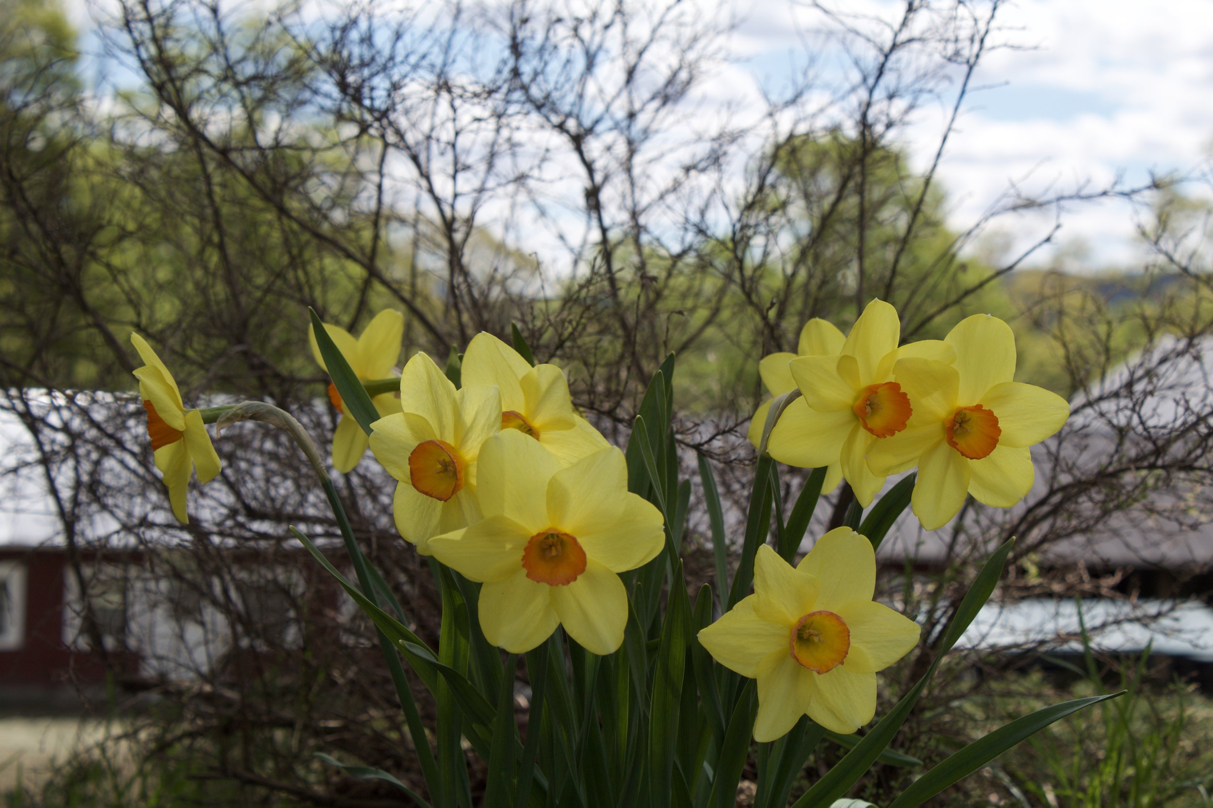 IMG_7588.jpeg