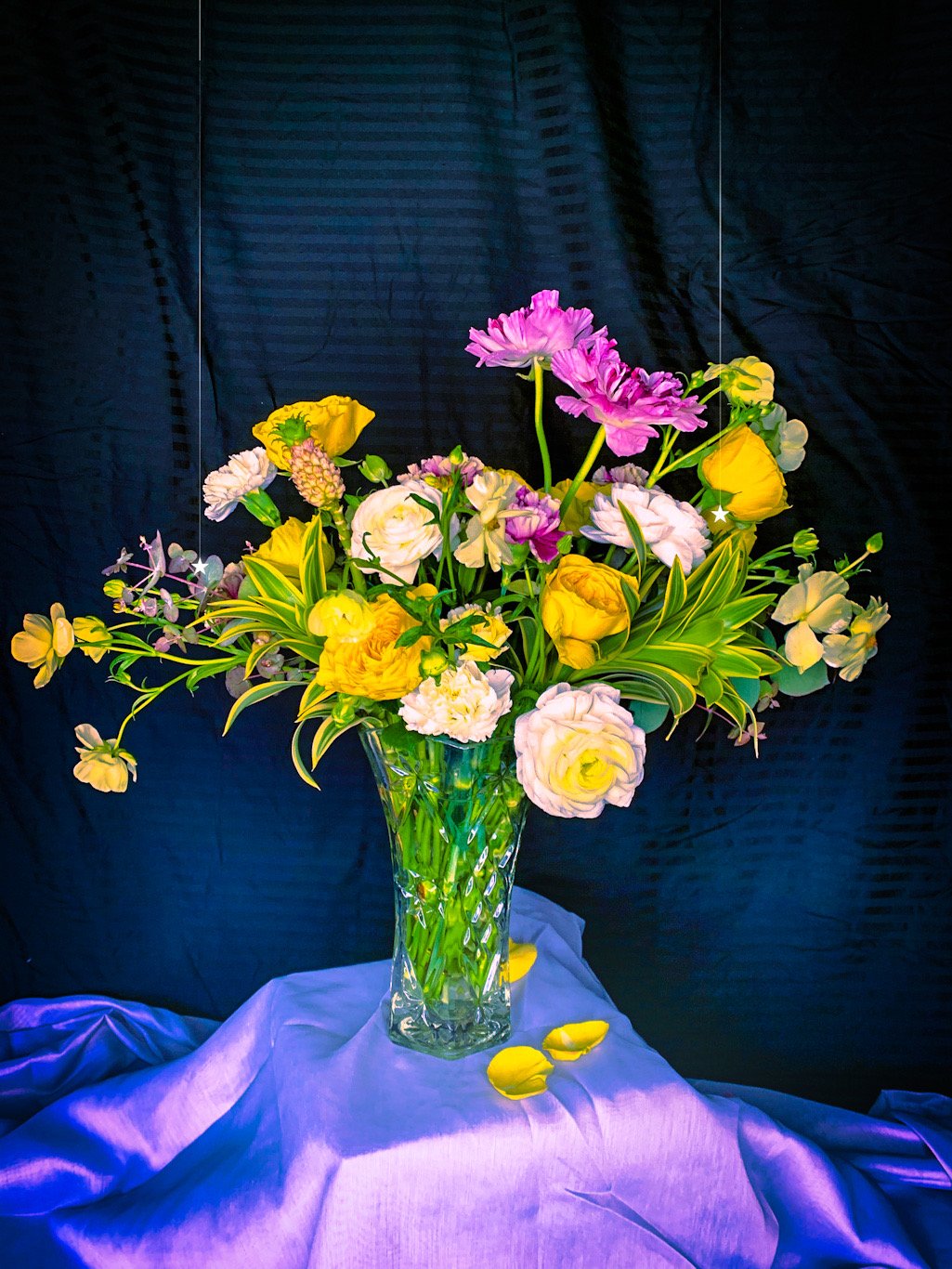 7D641DDC-4401-4384-AECB-75C6F473F1D5.JPEG