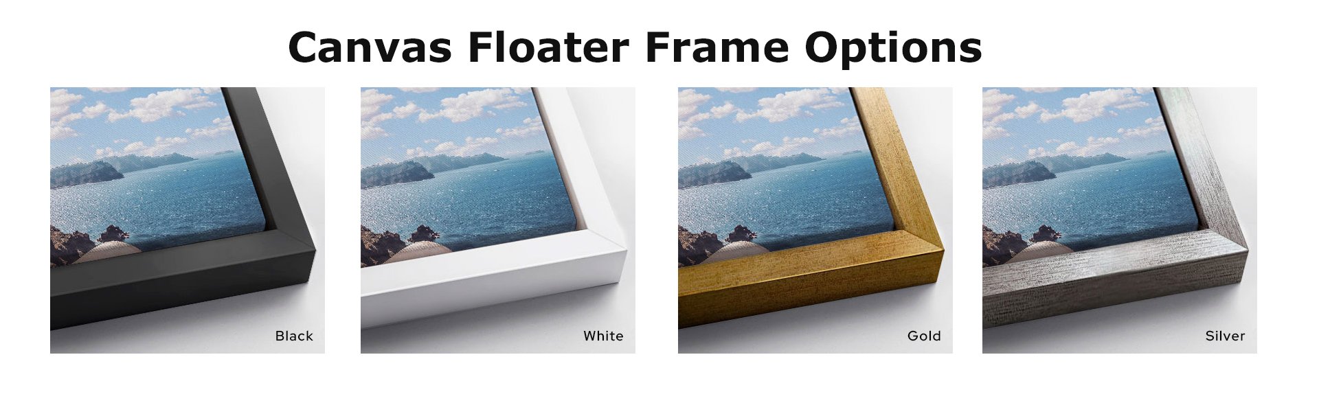 Canvas Floater Frame Options.jpg