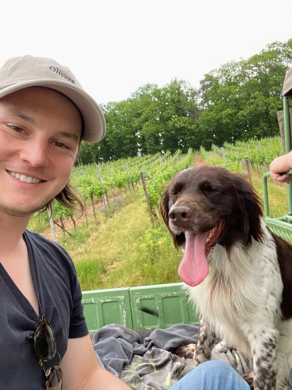 How I Work: Sommelier Mark Osburn