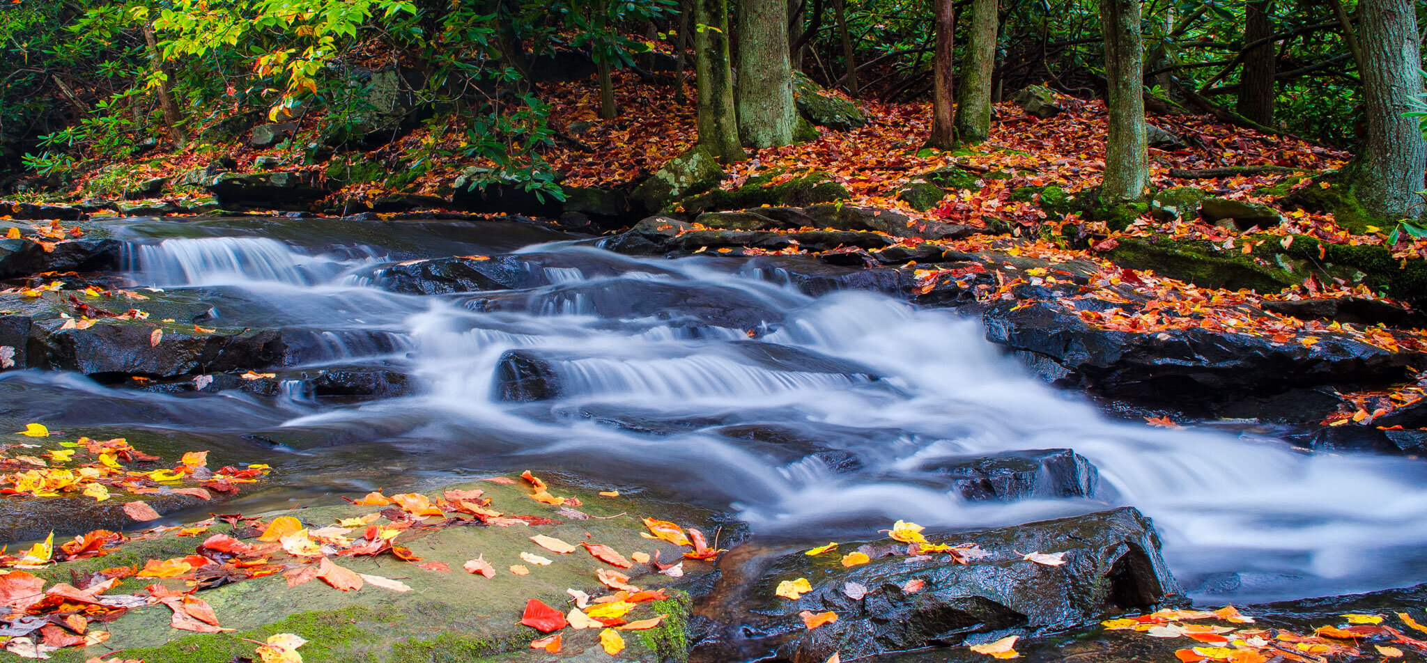 Stream in Fall, West Virginia