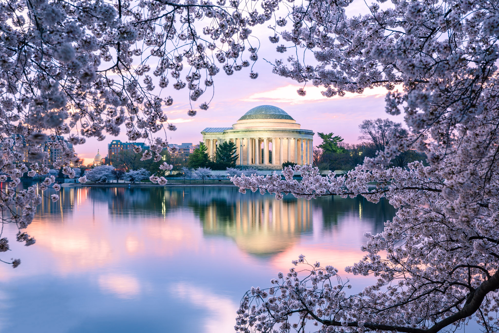 Lincoln Memorial, Tidal Basin and Cherry Blossoms at Sunrise, Washington, DC