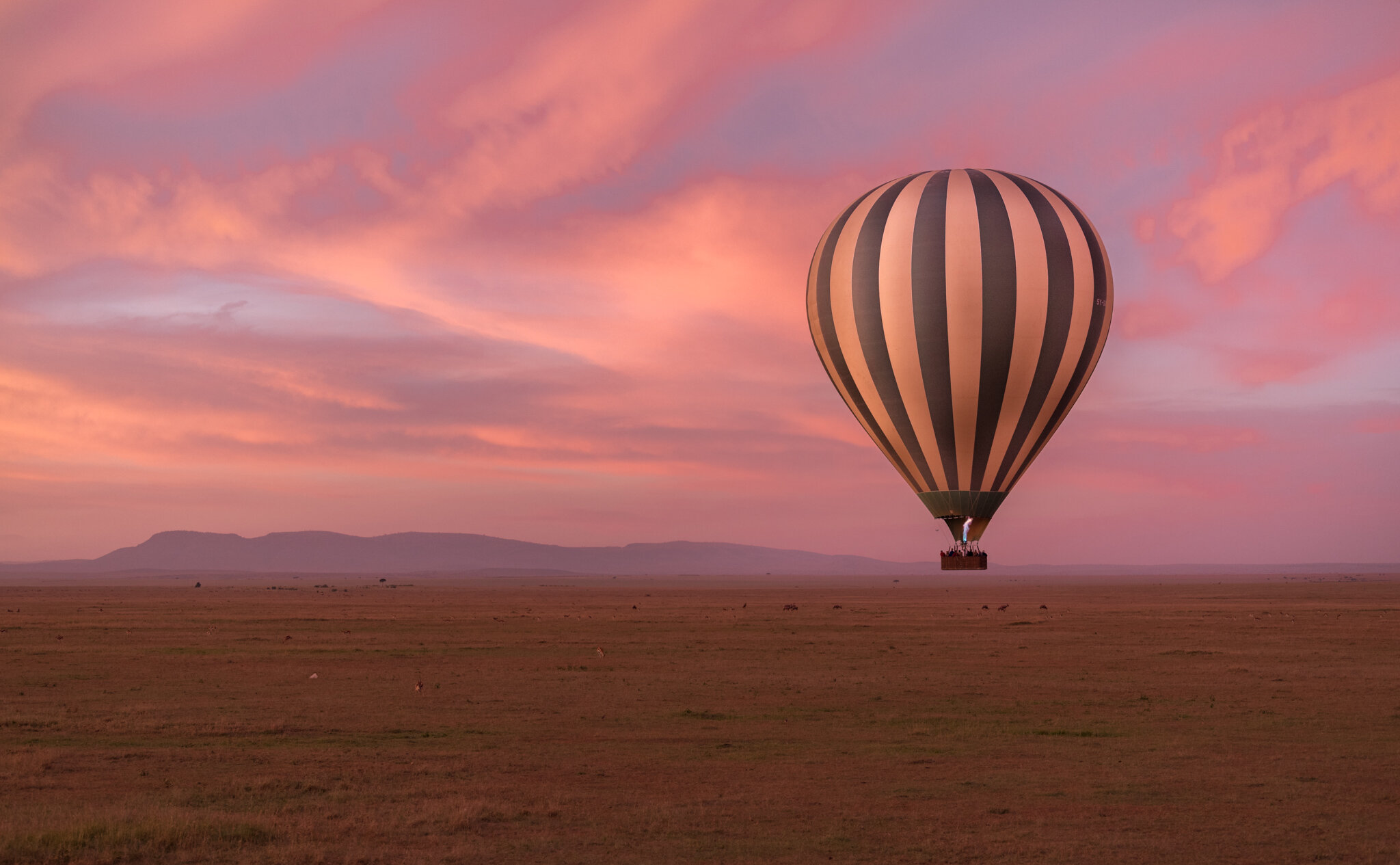 Sunrise Balloon Takeoff, Maasai Mara, Kenya