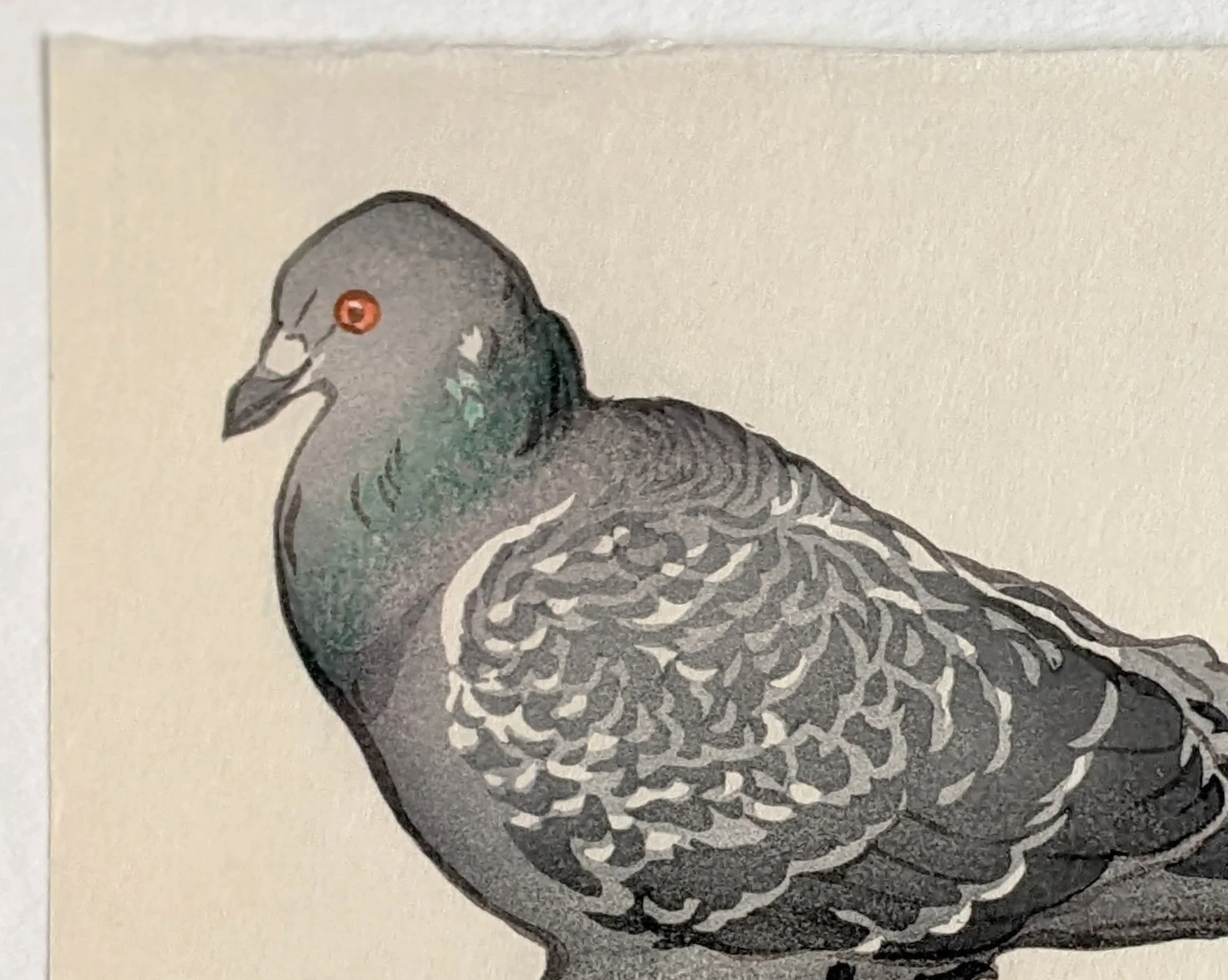 Ode to the Rock Dove, 2023