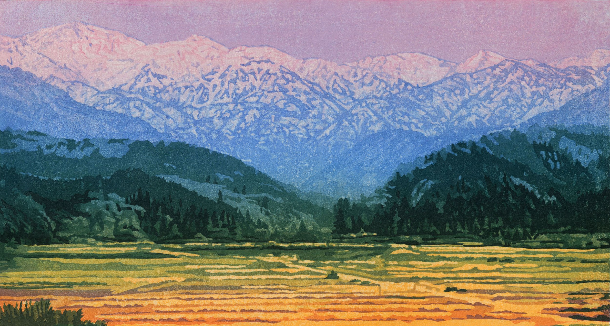 Hida-New-Cropped.jpg