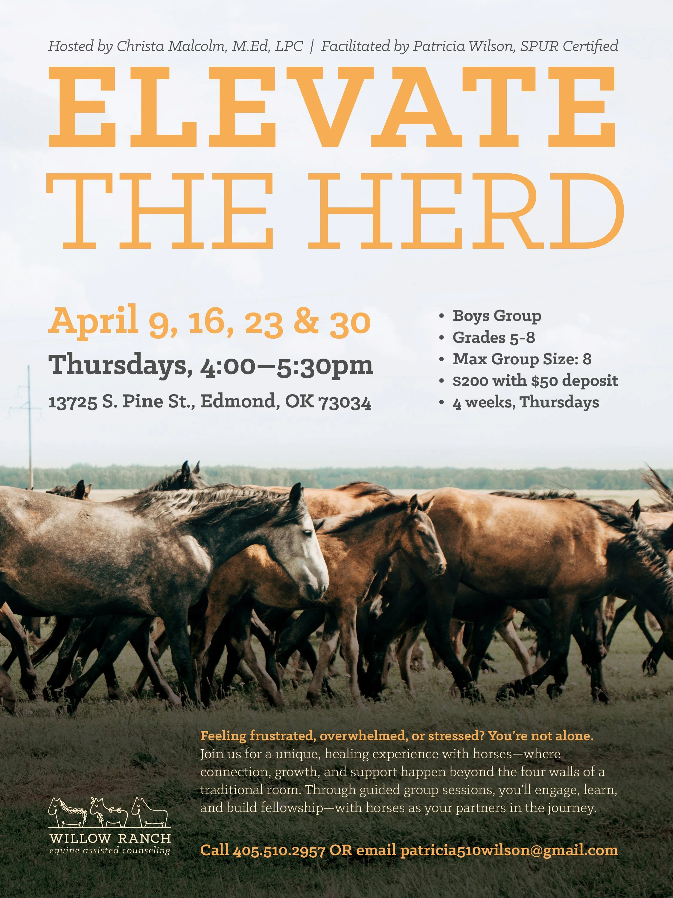 Elevate the herd—boys group flyer