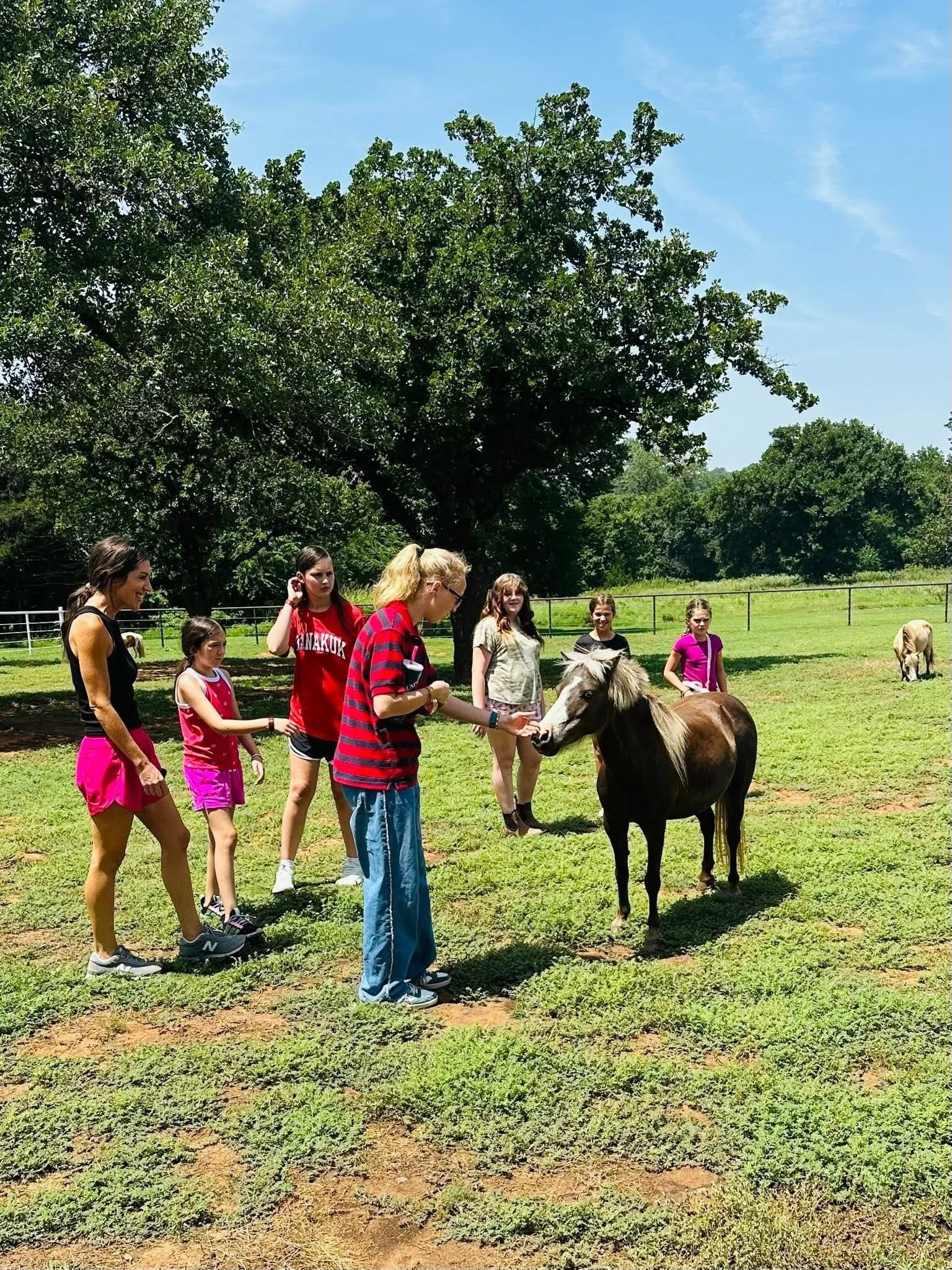 Gallery of images showing Willow Ranch clients interacting with horses.