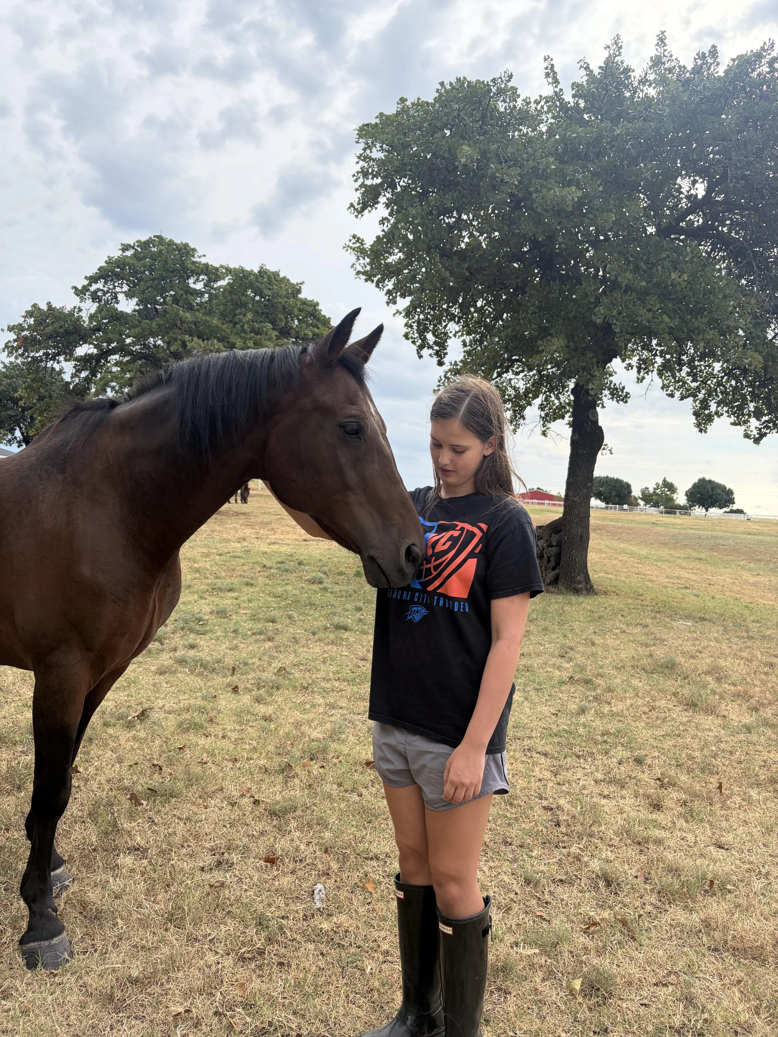 Gallery of images showing Willow Ranch clients interacting with horses.