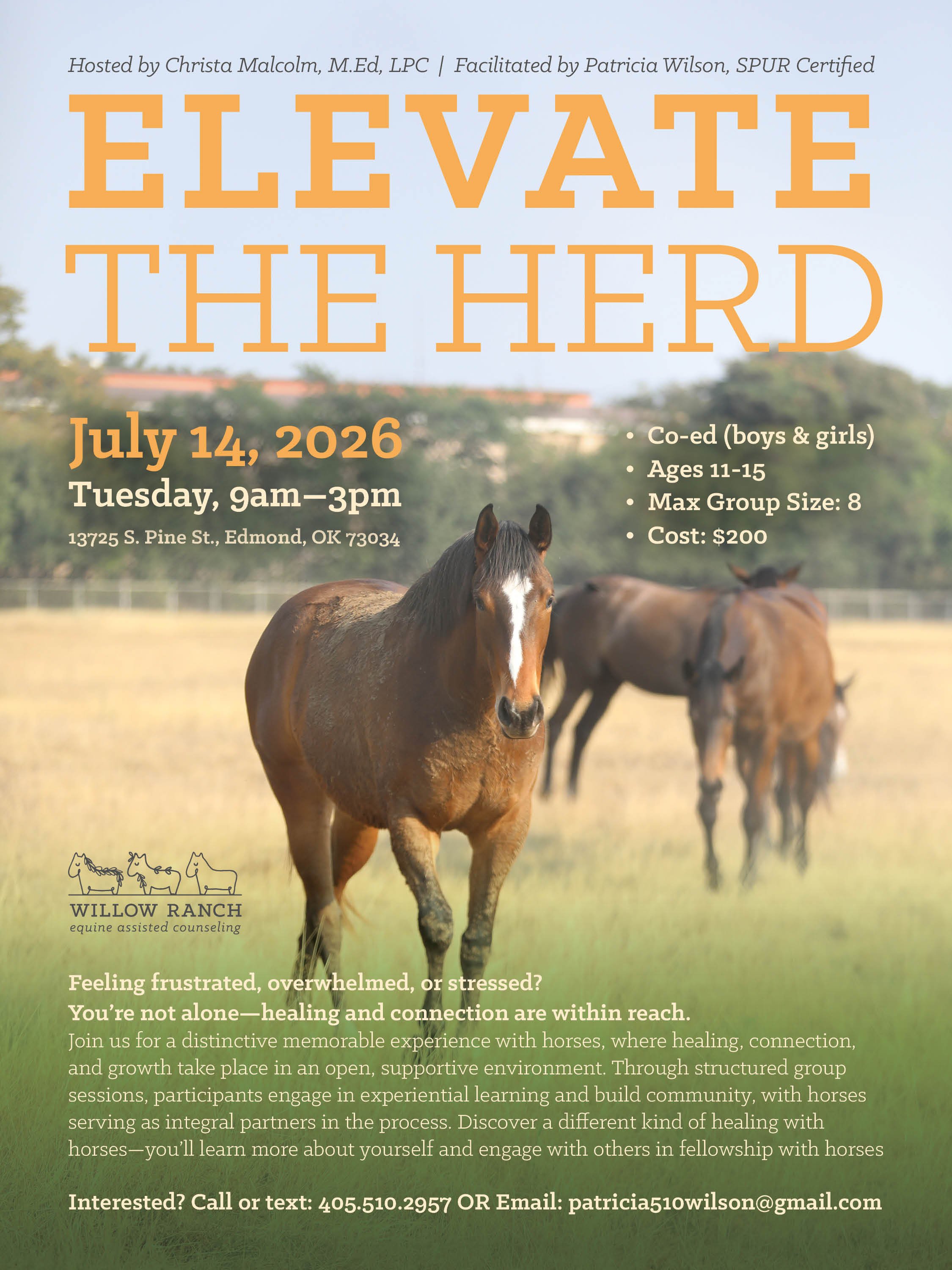 Elevate the Herd, July 14 Flyer