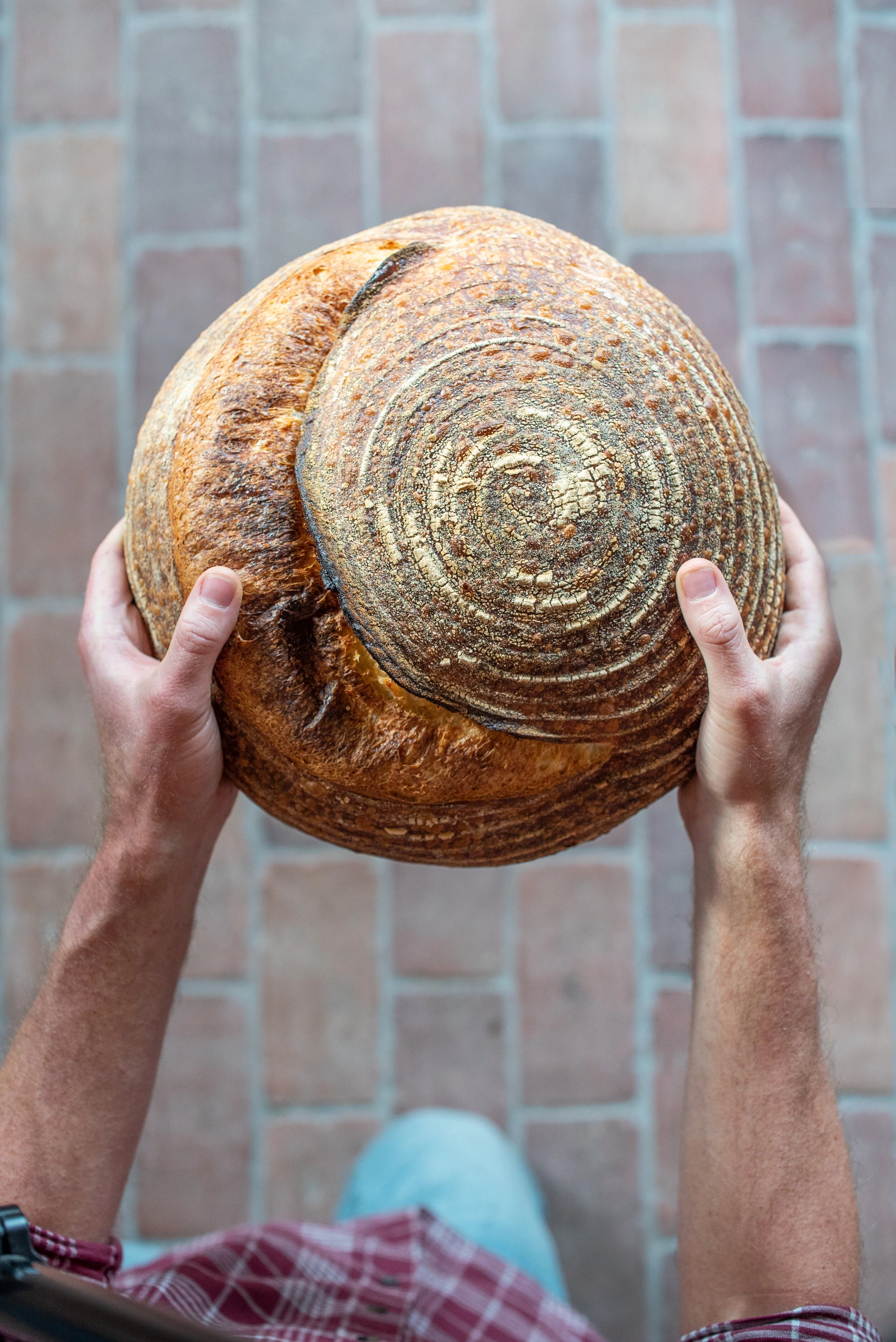 breadSwirl3_nocrop.jpg