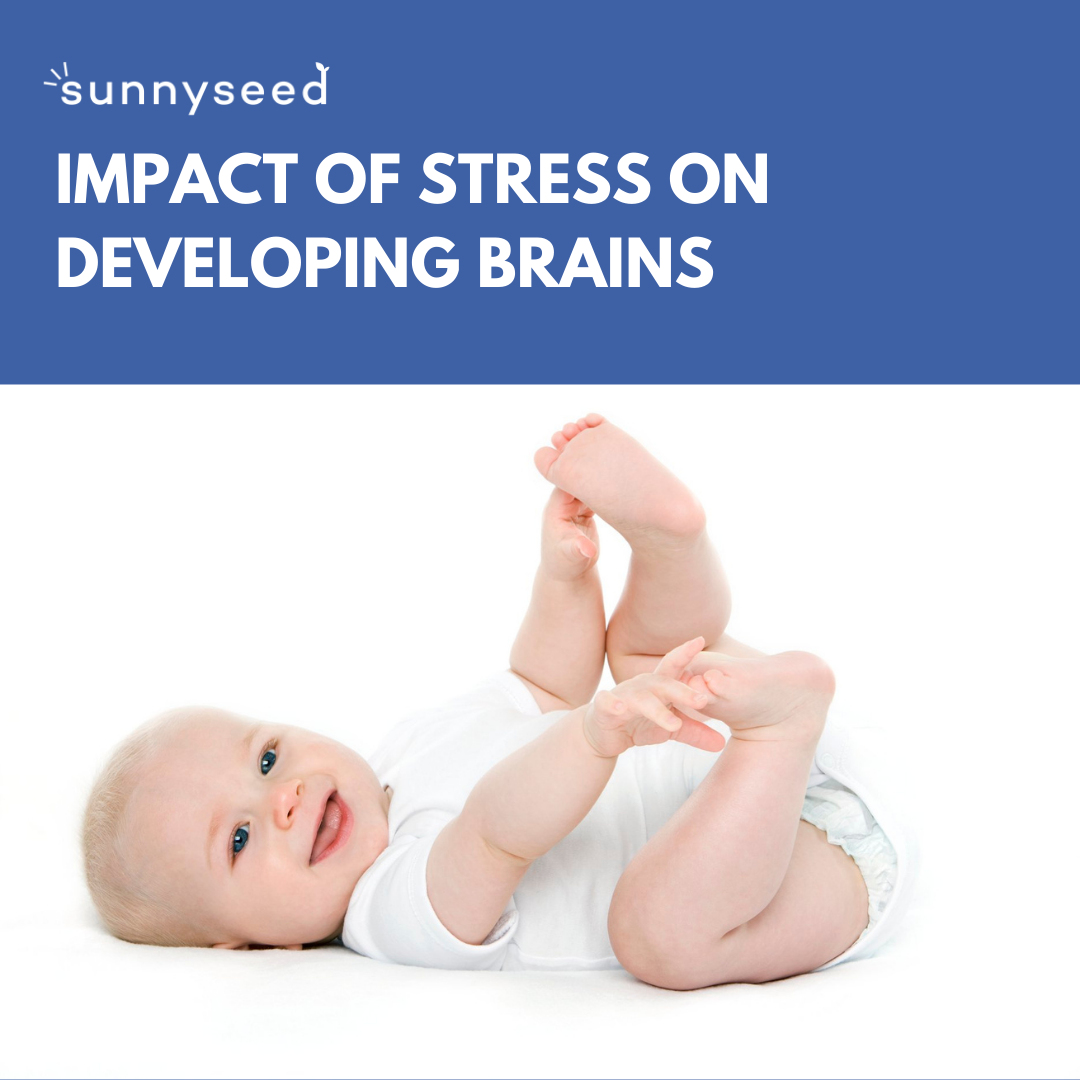Impact of Stress on Developing Brains