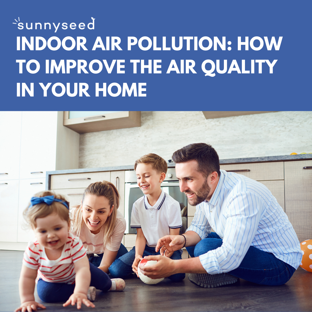 Indoor Air Pollution