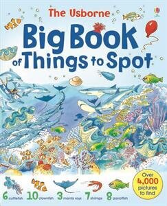 0006691_big_book_of_things_to_spot_cv_300.jpeg