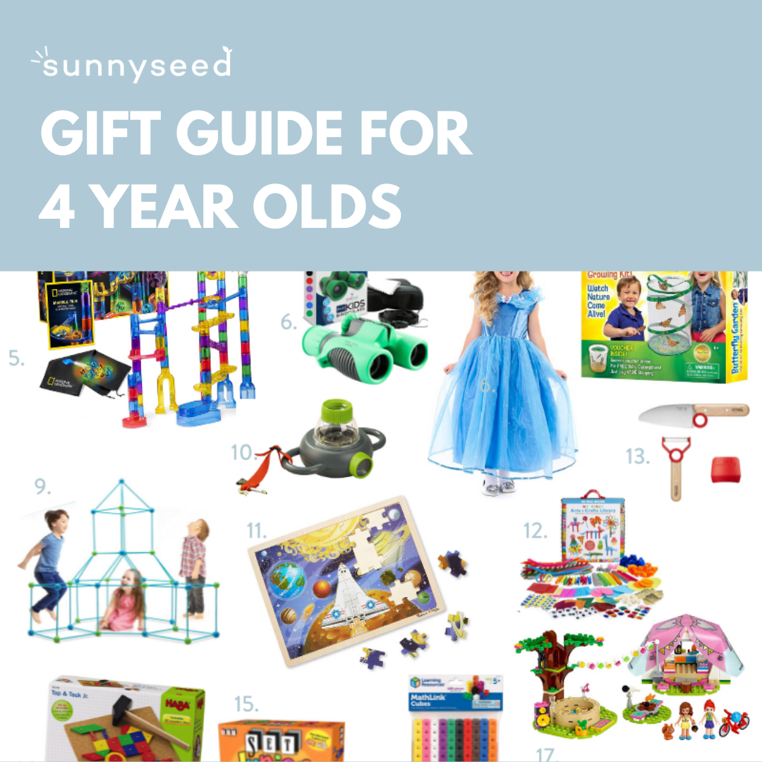 Gift Guide for 12 Year Olds — Sunnyseed