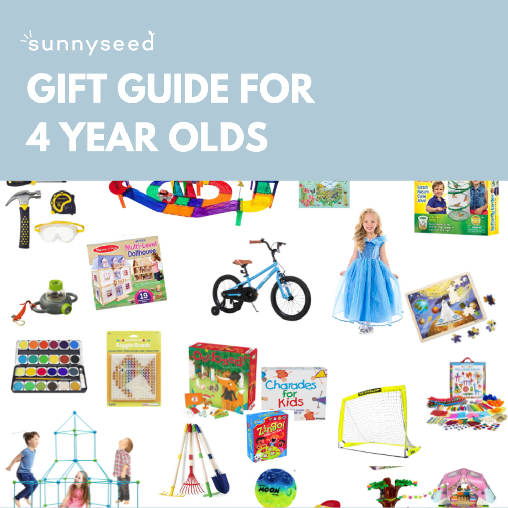 GIFT GUIDE FOR 6 YEAR OLD — Sunnyseed