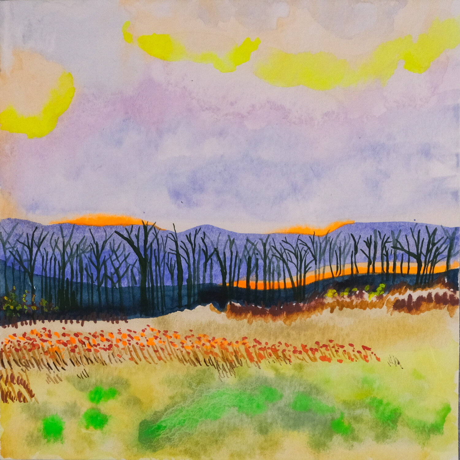 23/100 Original Landscape Watercolor Painting 6"x6", title, Vermont National Forest