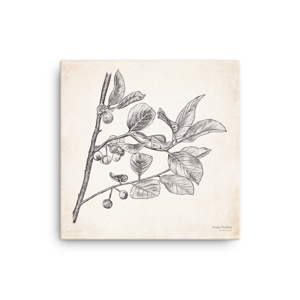 canvas-(in)-16x16-wall-6179a06007b49.png