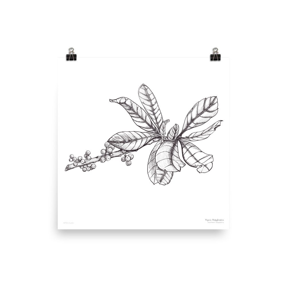 enhanced-matte-paper-poster-(in)-18x18-transparent-6182d6ac40a05.jpg