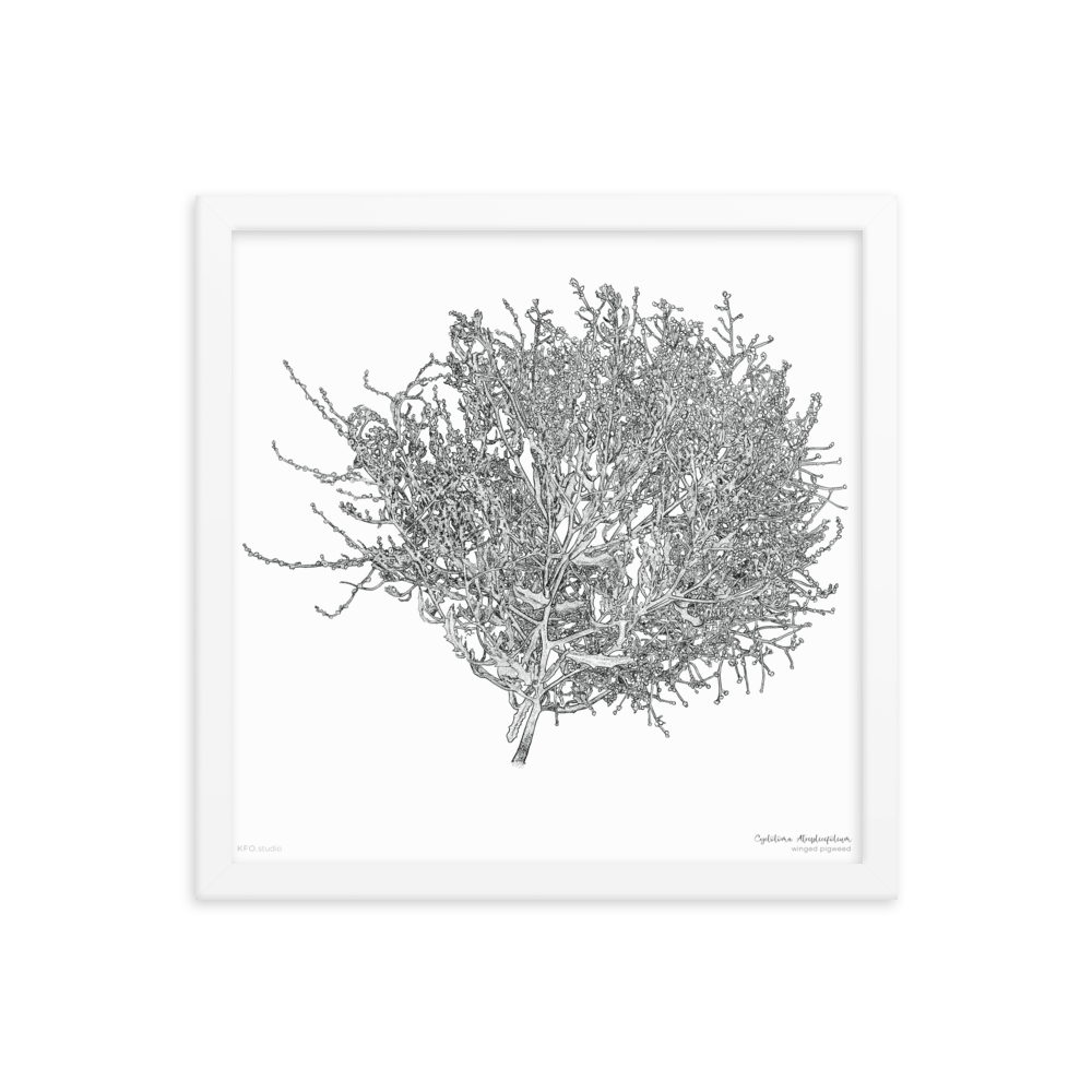 enhanced-matte-paper-framed-poster-(in)-white-14x14-transparent-6187ae435cdfb.png