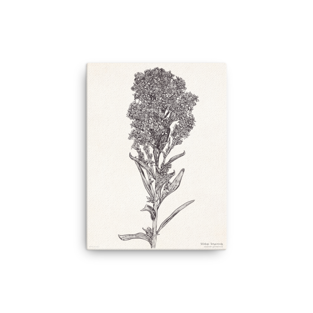 canvas-(in)-12x16-wall-618a9aa12b86a.png