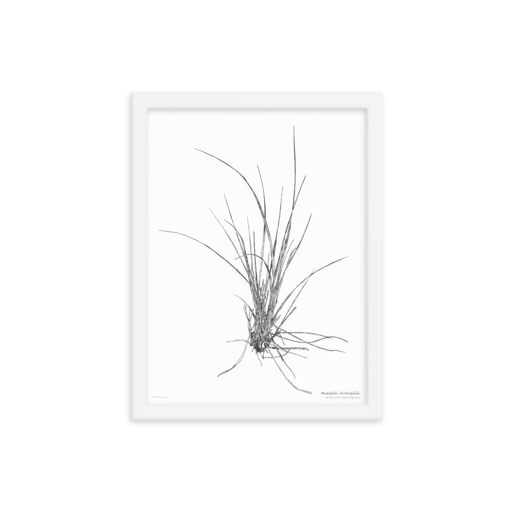 enhanced-matte-paper-framed-poster-(in)-white-12x16-transparent-618e7905bfbe7.jpg