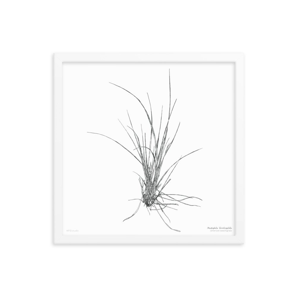 enhanced-matte-paper-framed-poster-(in)-white-16x16-transparent-618e7983acaf2.jpg