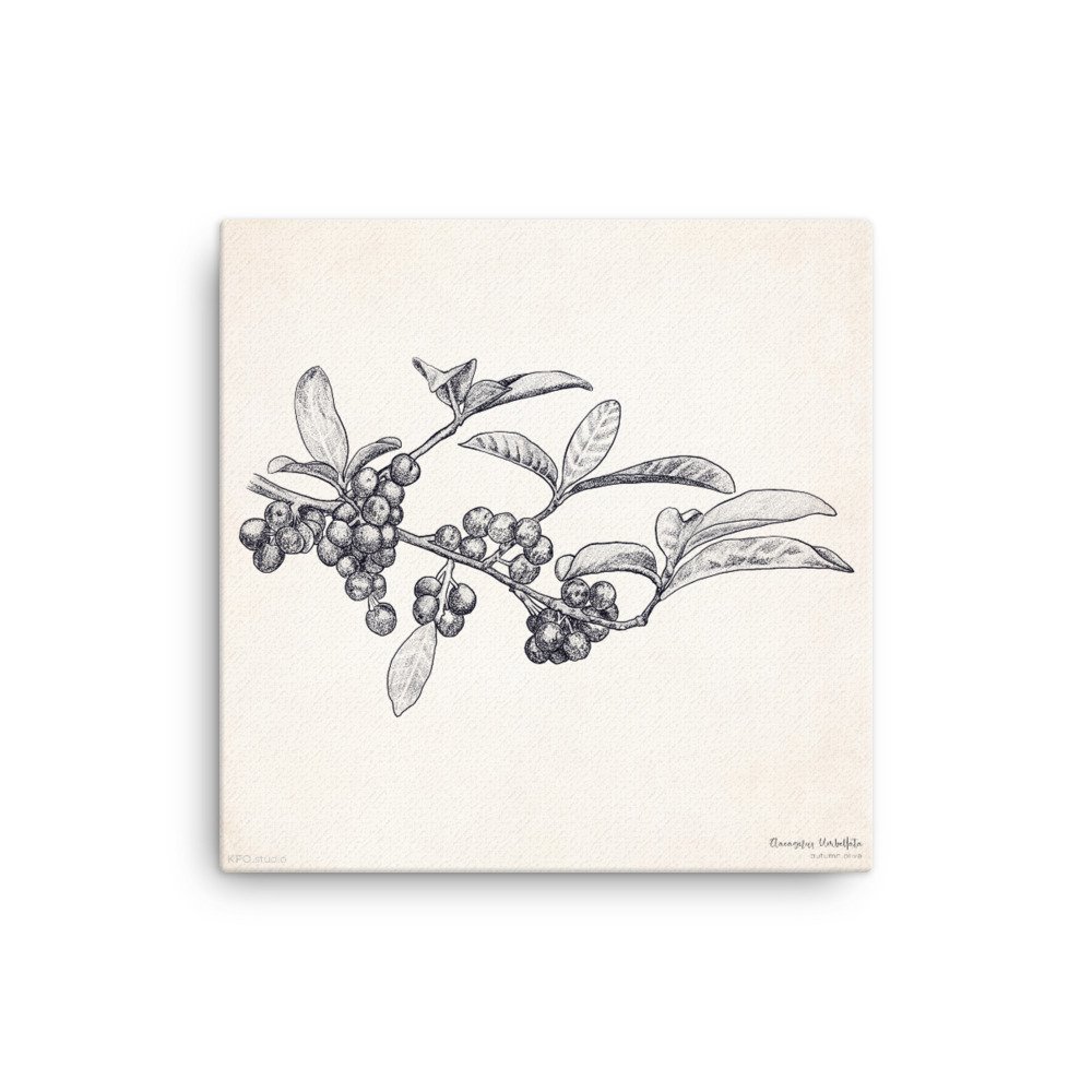 canvas-(in)-16x16-wall-618ec4444adfb.jpg