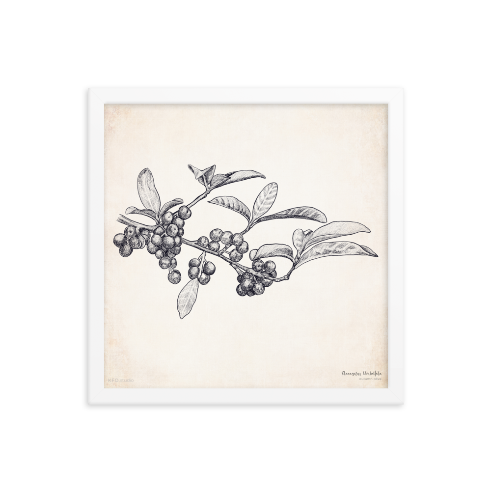 enhanced-matte-paper-framed-poster-(in)-white-14x14-transparent-618ec5893d4b2.png