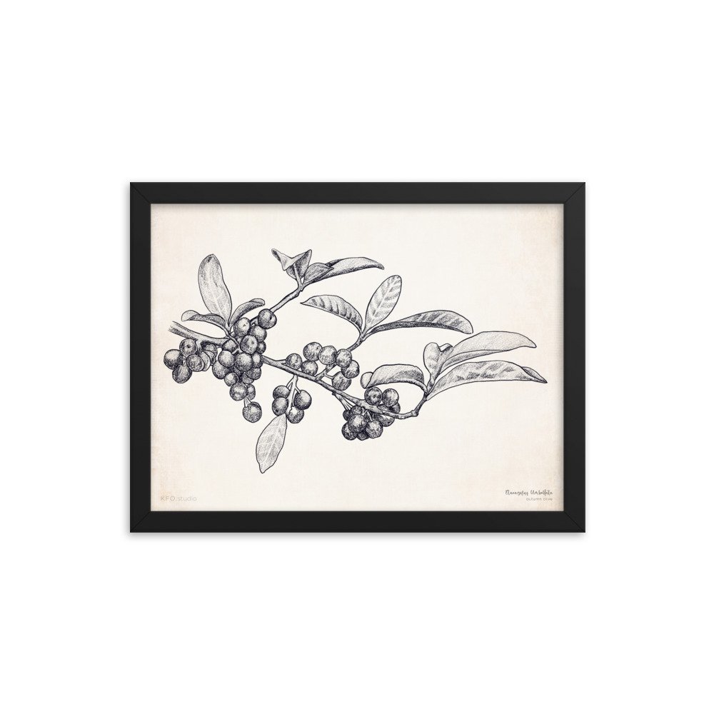 enhanced-matte-paper-framed-poster-(in)-black-12x16-transparent-61900bf72f49d.jpg