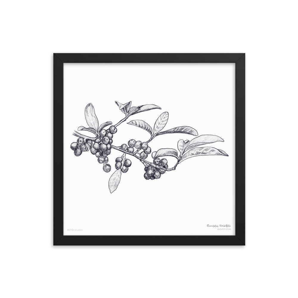 enhanced-matte-paper-framed-poster-(in)-black-14x14-transparent-61900f46a2fbf.jpg
