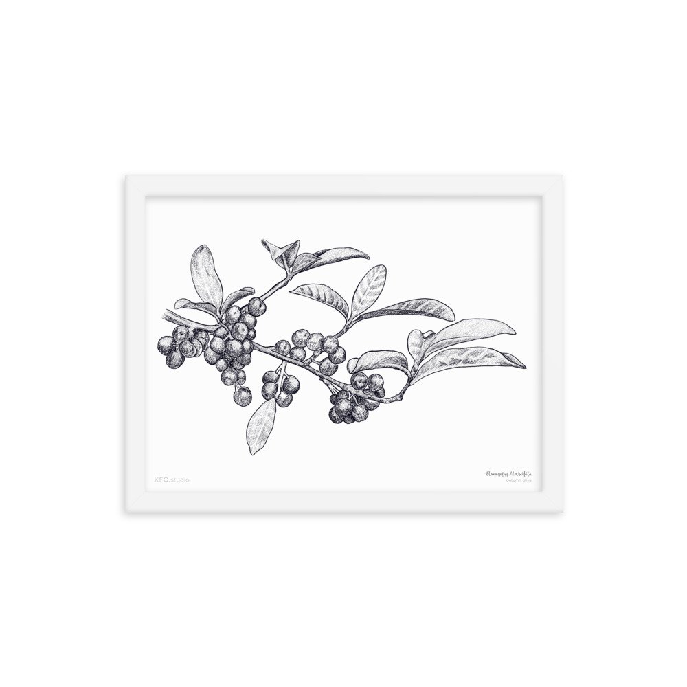 enhanced-matte-paper-framed-poster-(in)-white-12x16-transparent-61900c265a531.jpg