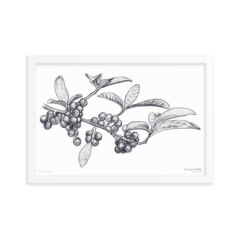 enhanced-matte-paper-framed-poster-(in)-white-12x18-transparent-61900e937589f.jpg