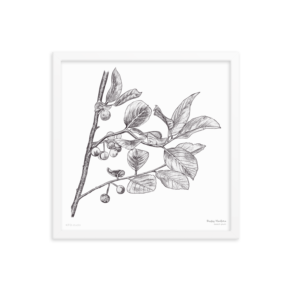 enhanced-matte-paper-framed-poster-(in)-white-16x16-transparent-6191243b5e75f.png