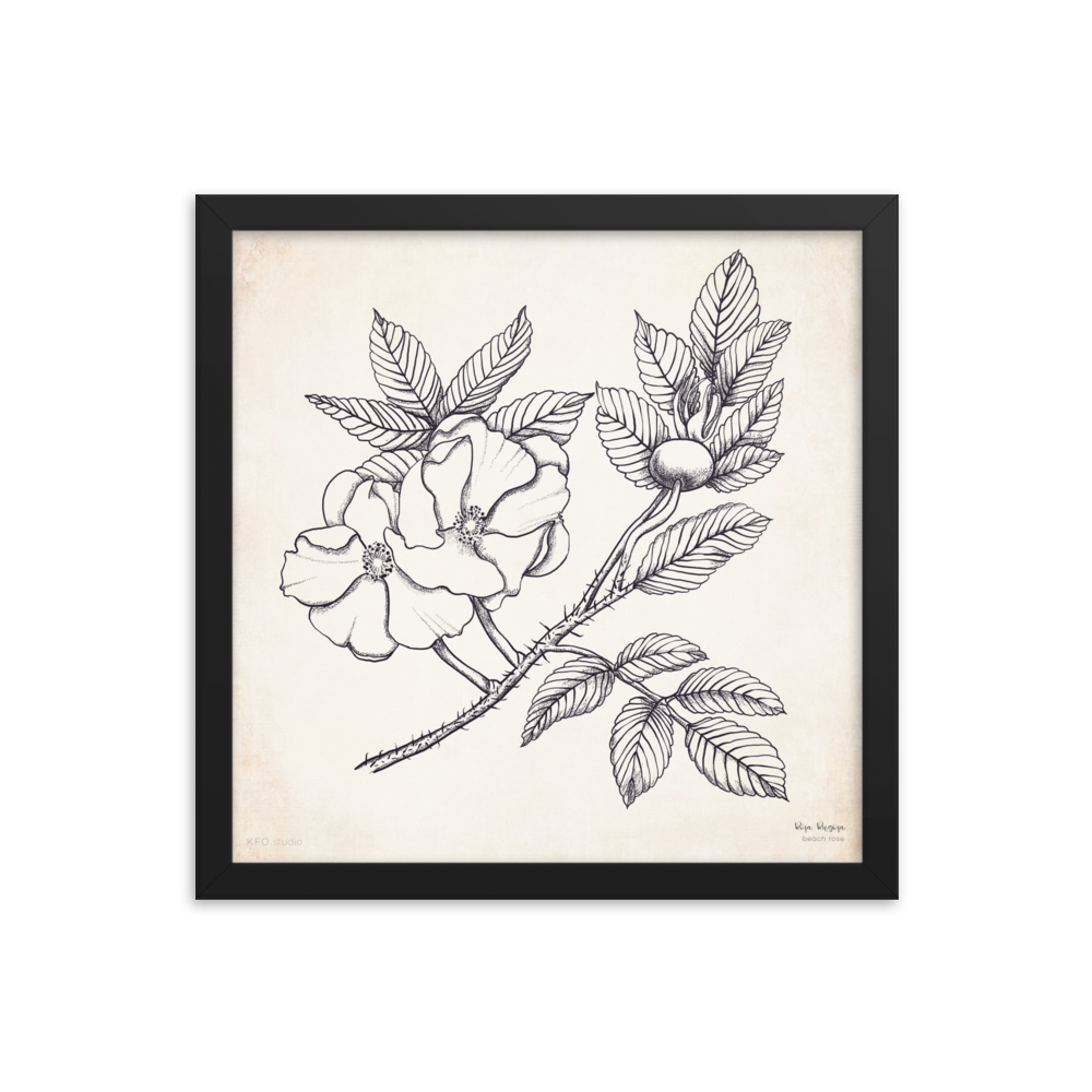enhanced-matte-paper-framed-poster-(in)-black-14x14-transparent-619126e094e75.png