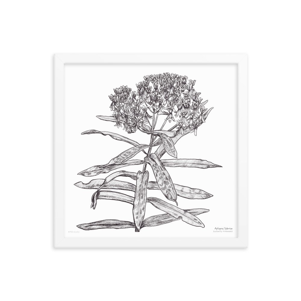 enhanced-matte-paper-framed-poster-(in)-white-14x14-transparent-6192650776f07.jpg