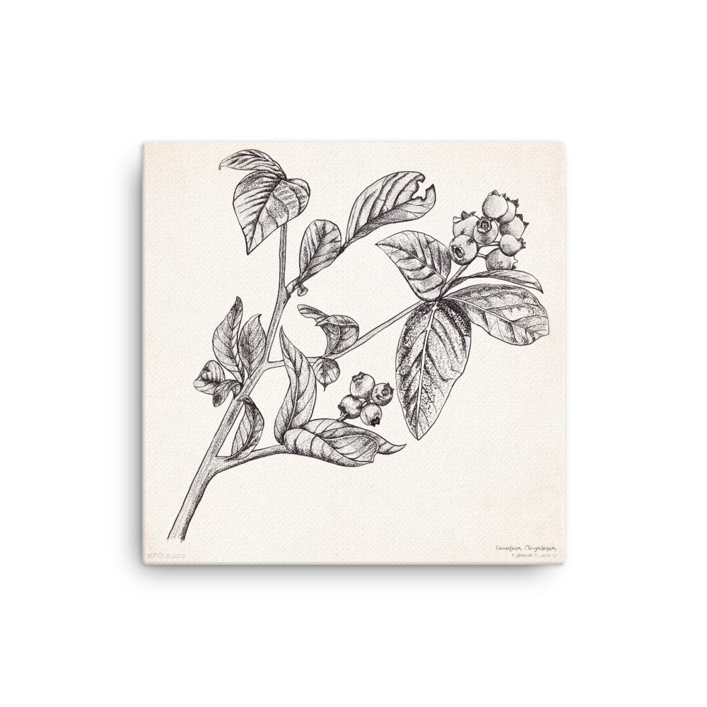 canvas-(in)-16x16-wall-6192a9acb4069.png