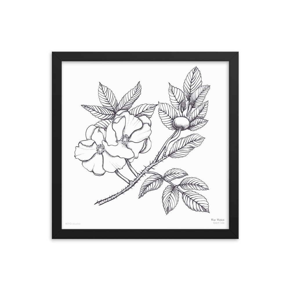 enhanced-matte-paper-framed-poster-(in)-black-14x14-transparent-6192b11d77301.jpg