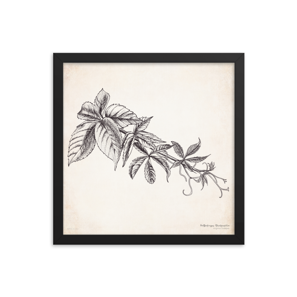 enhanced-matte-paper-framed-poster-(in)-black-14x14-transparent-619559c0363fc.png
