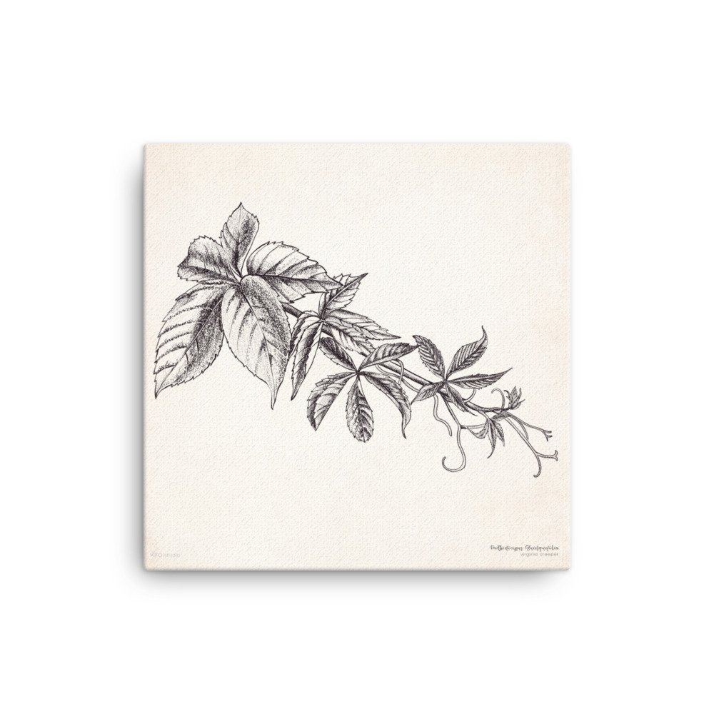 canvas-(in)-16x16-wall-61968924e6206.jpg