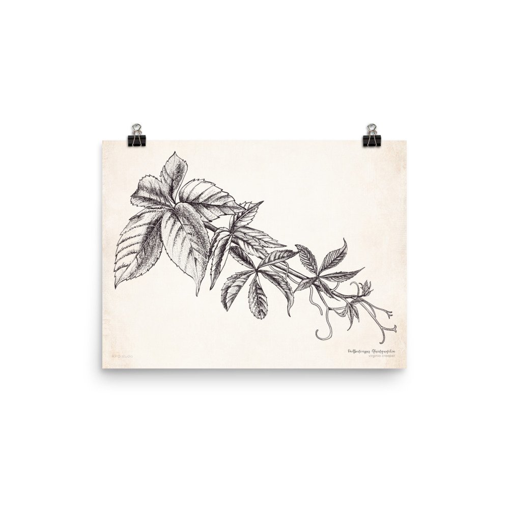 enhanced-matte-paper-poster-(in)-12x16-transparent-61968ab943586.jpg