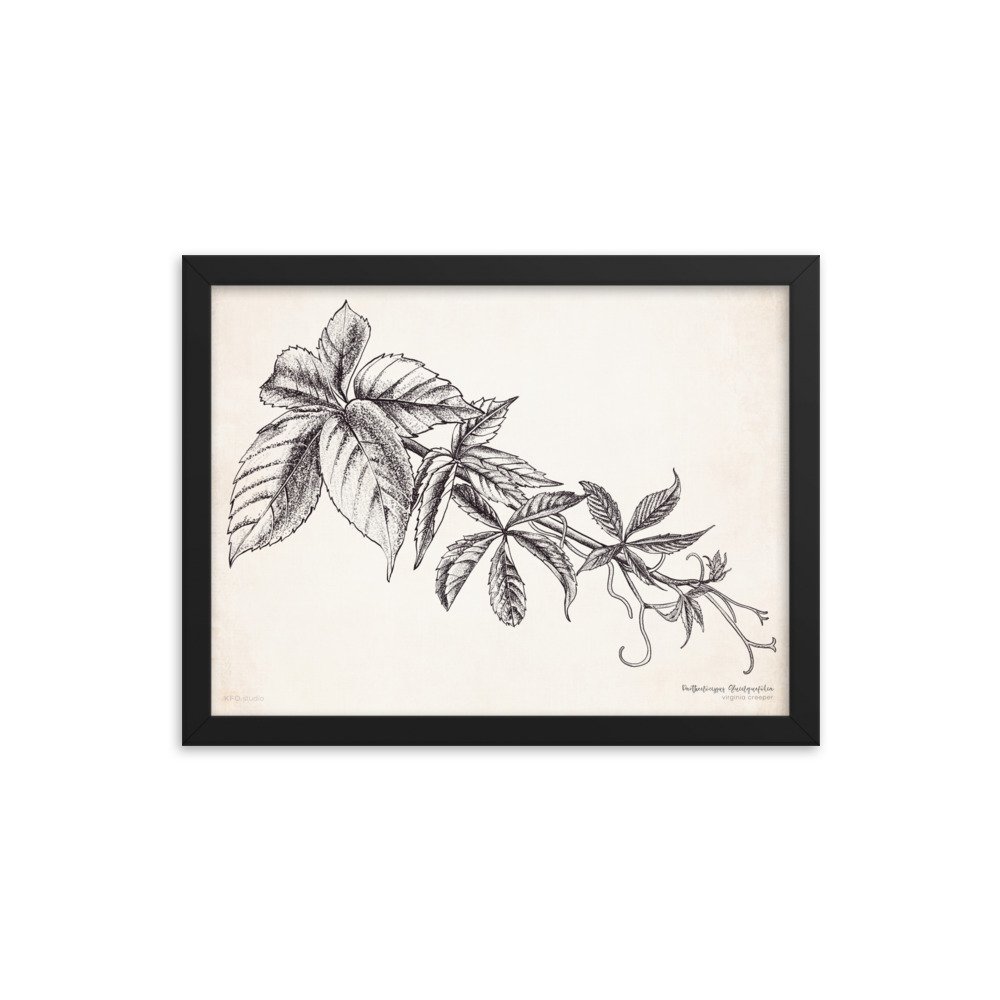 enhanced-matte-paper-framed-poster-(in)-black-12x16-transparent-61968c9cb2ecf.jpg