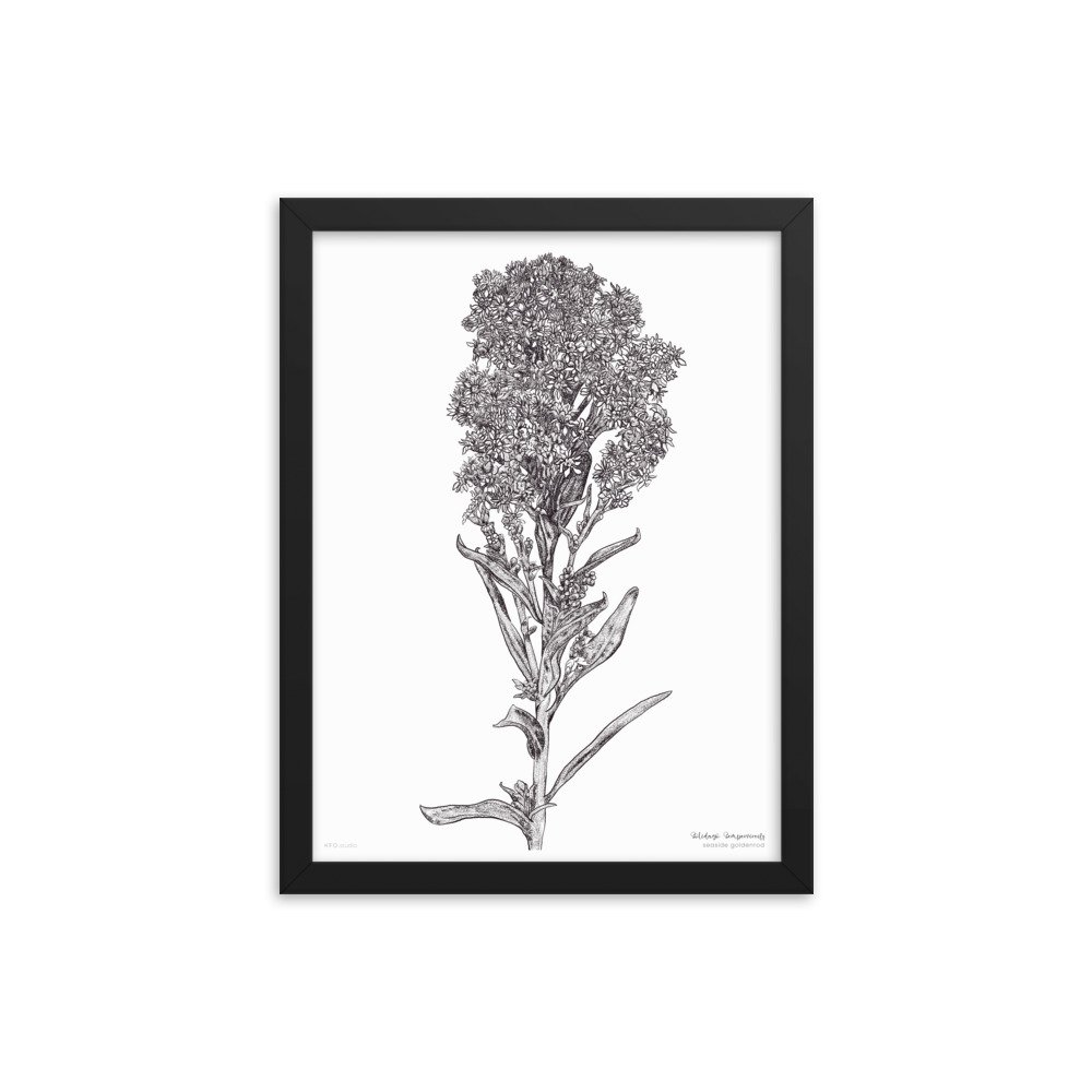 enhanced-matte-paper-framed-poster-(in)-black-12x16-transparent-6196b07b9524a.jpg