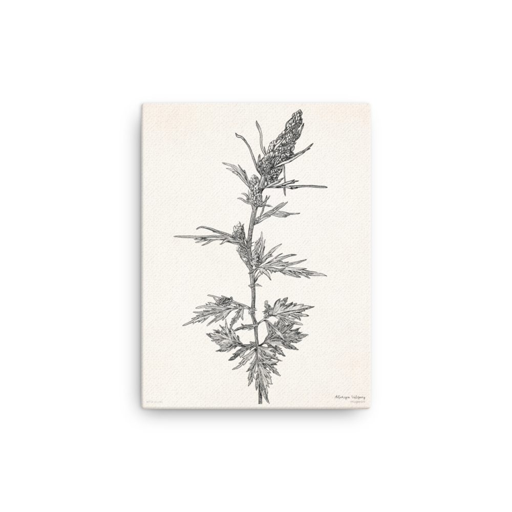 canvas-(in)-12x16-wall-6198d67debb53.png