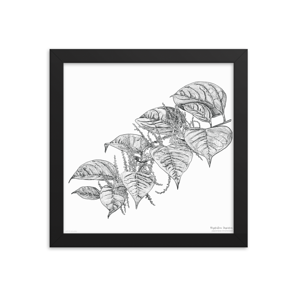 enhanced-matte-paper-framed-poster-(in)-black-10x10-transparent-619a9659bb51d.png