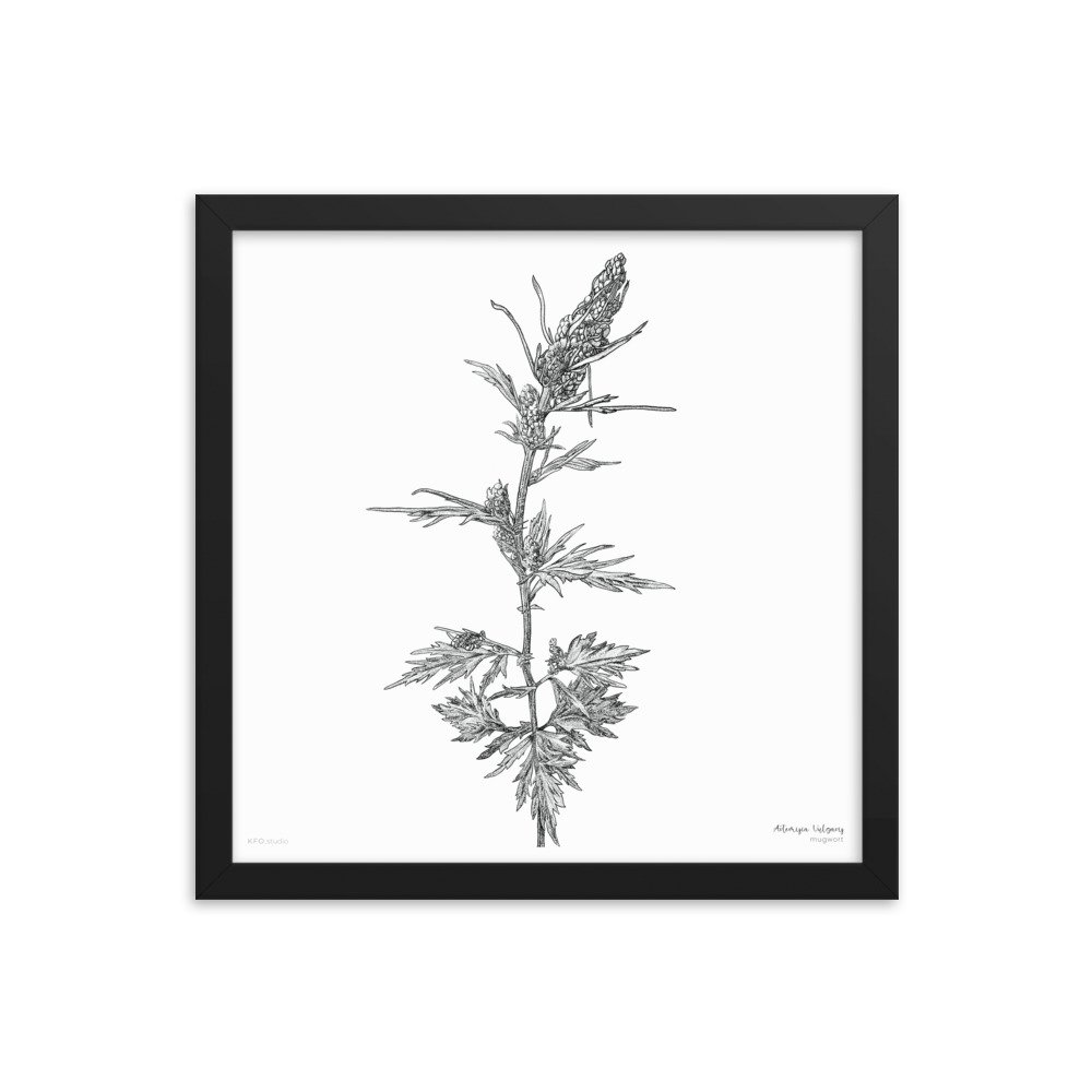 enhanced-matte-paper-framed-poster-(in)-black-14x14-transparent-619d431583faa.jpg