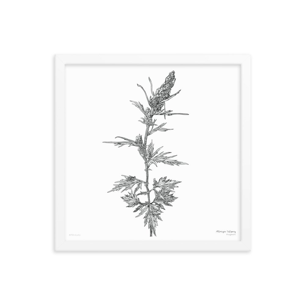 enhanced-matte-paper-framed-poster-(in)-white-14x14-transparent-619d43020cc3a.jpg