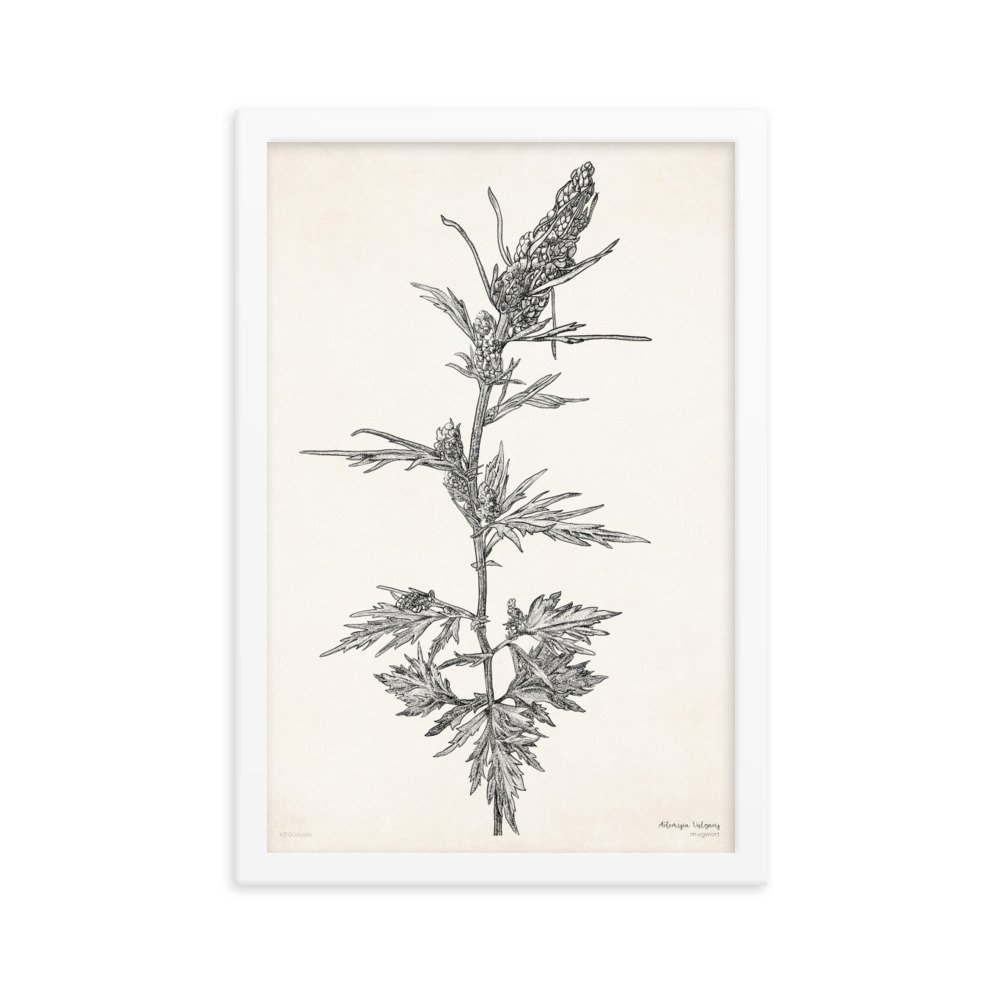 enhanced-matte-paper-framed-poster-(in)-white-12x18-transparent-619d429646d4d.jpg