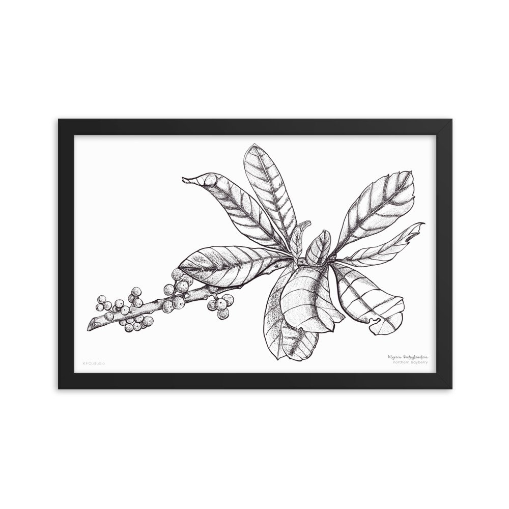 enhanced-matte-paper-framed-poster-(in)-black-12x18-transparent-619d456b4107f.jpg