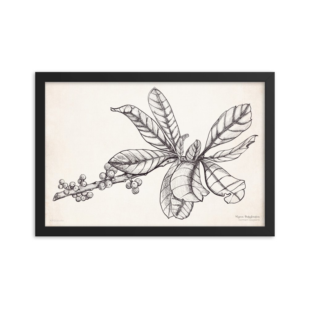 enhanced-matte-paper-framed-poster-(in)-black-12x18-transparent-619d4545b3698.jpg