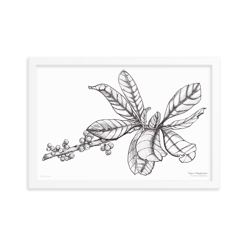 enhanced-matte-paper-framed-poster-(in)-white-12x18-transparent-619d455fc6bce.jpg